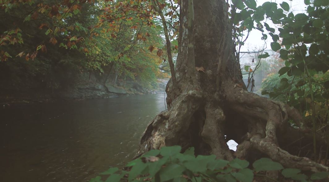 An Ode To The Land Of Little Rivers Cinematic Poem Short Film Directed By Peter Crosby (2019)