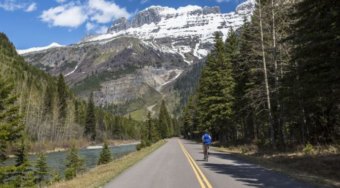 Road Tripping Through Glacier And Yellowstone National Parks