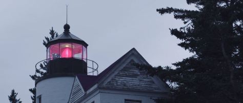 Acadia National Park Directed by Rudy Wilms 2019