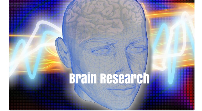 Science: New Research Into Diseases Of The Brain
