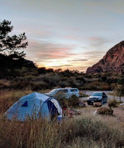 Chisos Basin Campground Big Bend, TX