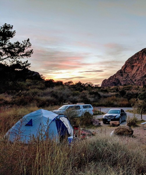Chisos Basin Campground Big Bend, TX