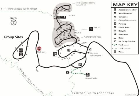 Chisos Basin Campground Texas