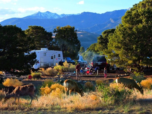 Piñon Flats Campground