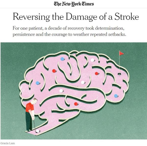 Reversing Damage of a Stroke NYT