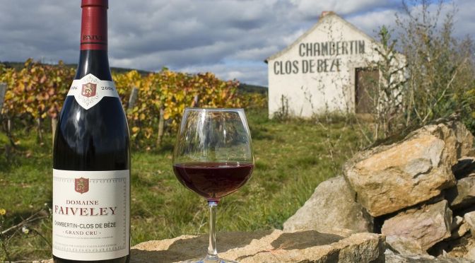 French Wine Values: Red Burgundies Are Top Long-Term Values (Exceeding S&P 500 Over Last 15 Years)