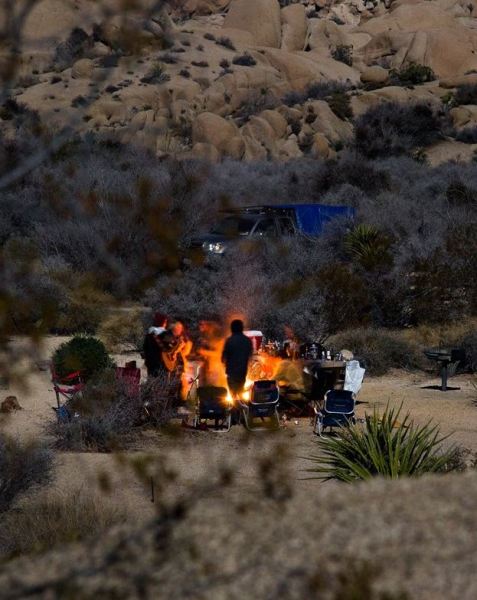 Jumbo Rocks Campground