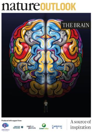 Nature Outlook The Brain