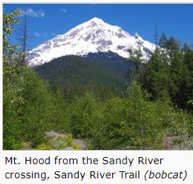Ramona Falls Trail View of Mount Hood