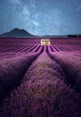 Samir Belhamra Visual Artist - Valensole by Night, South France, Provence 2