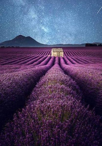 Samir Belhamra Visual Artist - Valensole by Night, South France, Provence 2
