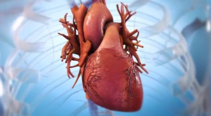 Medical Innovations: BioLife4D Creates First 3D “Bioprinted” Human Heart From Cardiac Tissue