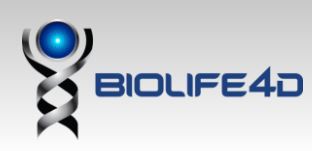 BioLife4D Logo