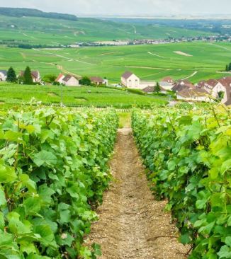Champagne France
