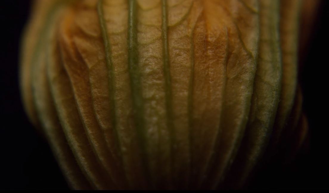 Déguste Short Film Directed by Stephane Baz 2019