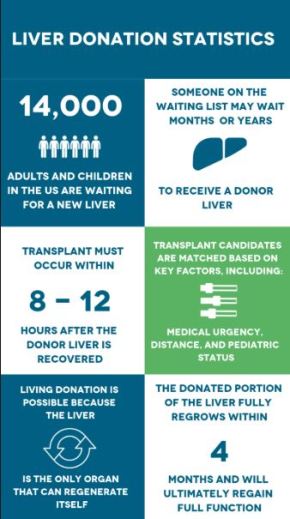 Liver Transplants &amp; Donors