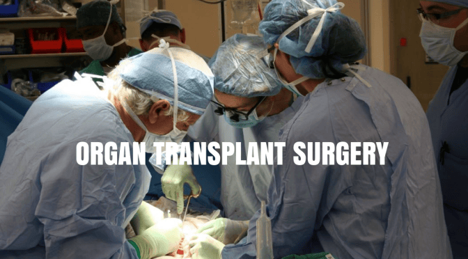 Health Care: Number Of Organ Transplant Physicians Shrinks As Demand Increases
