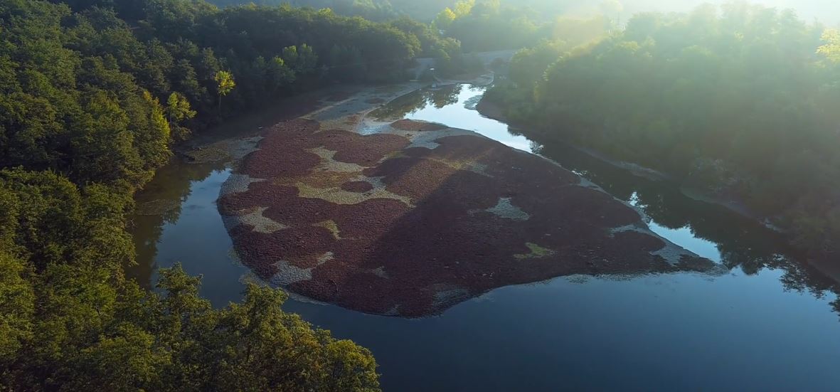 Wilderness Close To Home Short Film by Mark Soetebier 2019