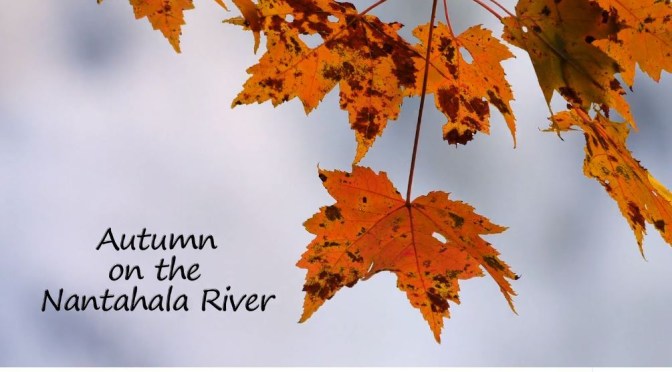 New Videos: “Autumn On The Nantahala River” By Mark Williams (2019)