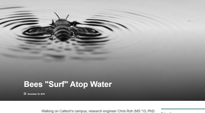 Engineering In Nature: “Honeybees Use Their Wings For Water Surface Locomotion” (Caltech)