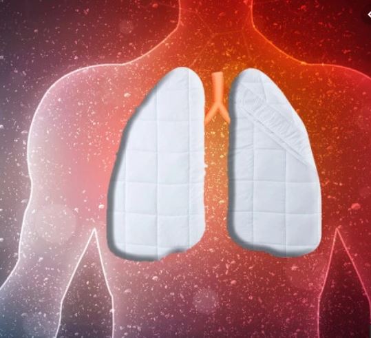 Feather Duvet Lung
