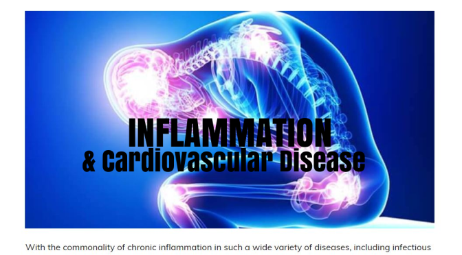 Infographic: “The Role Of Inflammation In Disease”