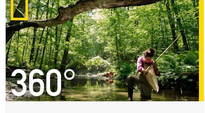 New Travel Videos: “Canada’s Wild Rivers – Into Water” In 360 Degrees (National Geographic)