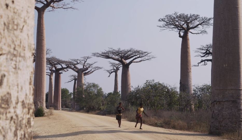 Nosy Lehibe Travel Video by Tom Peyrat 2019
