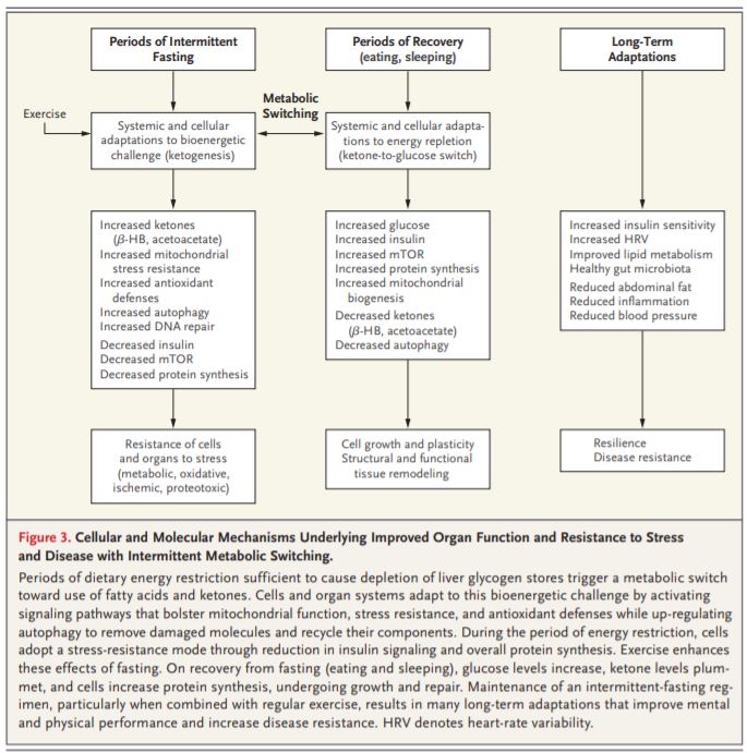 Effects of Intermittent Fasting on Health, Aging, and Disease New England Journal of Medicine December 26 2019