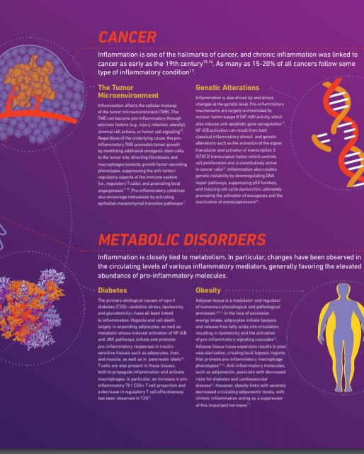 The Role of Inflammation In Disease Cancer and Metabolic Disorders TheScientist 3