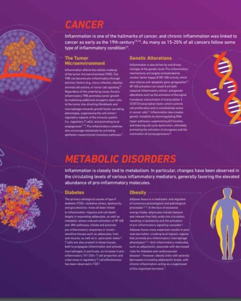 The Role of Inflammation In Disease Cancer and Metabolic Disorders TheScientist 3