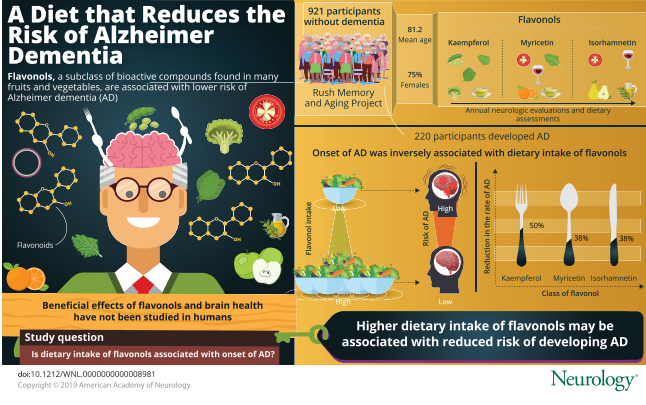 flavonols infographic Neurology Journal January 29 2020