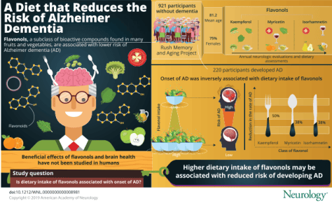 flavonols infographic Neurology Journal January 29 2020