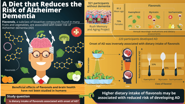 Dementia: Antioxidant “Flavonols” From Fruits & Vegetables Lower Alzheimer’s Risk By 48%