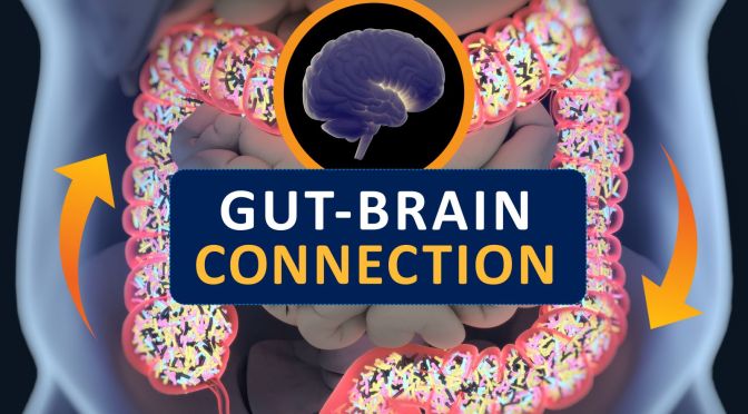 Health: “Digestion And The Brain” (Harvard Podcast)
