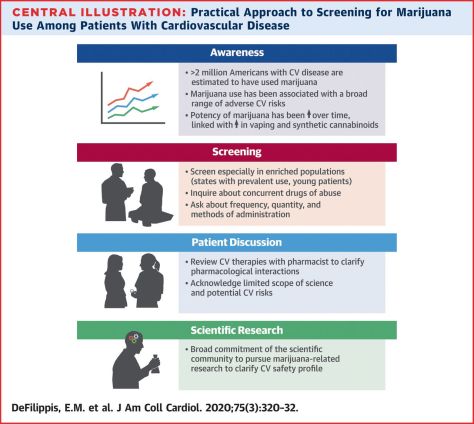 Marijuana Use and Cardiovascular Disease Infographic