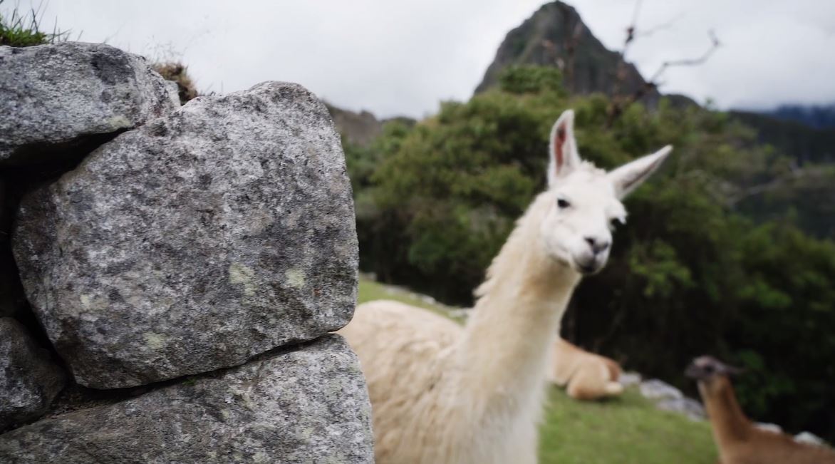 Peru Land of the Incas Travel Video by Marty Mellway January 21 2020