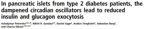 PNAS Pancreatic Islets from type 2 diabetes