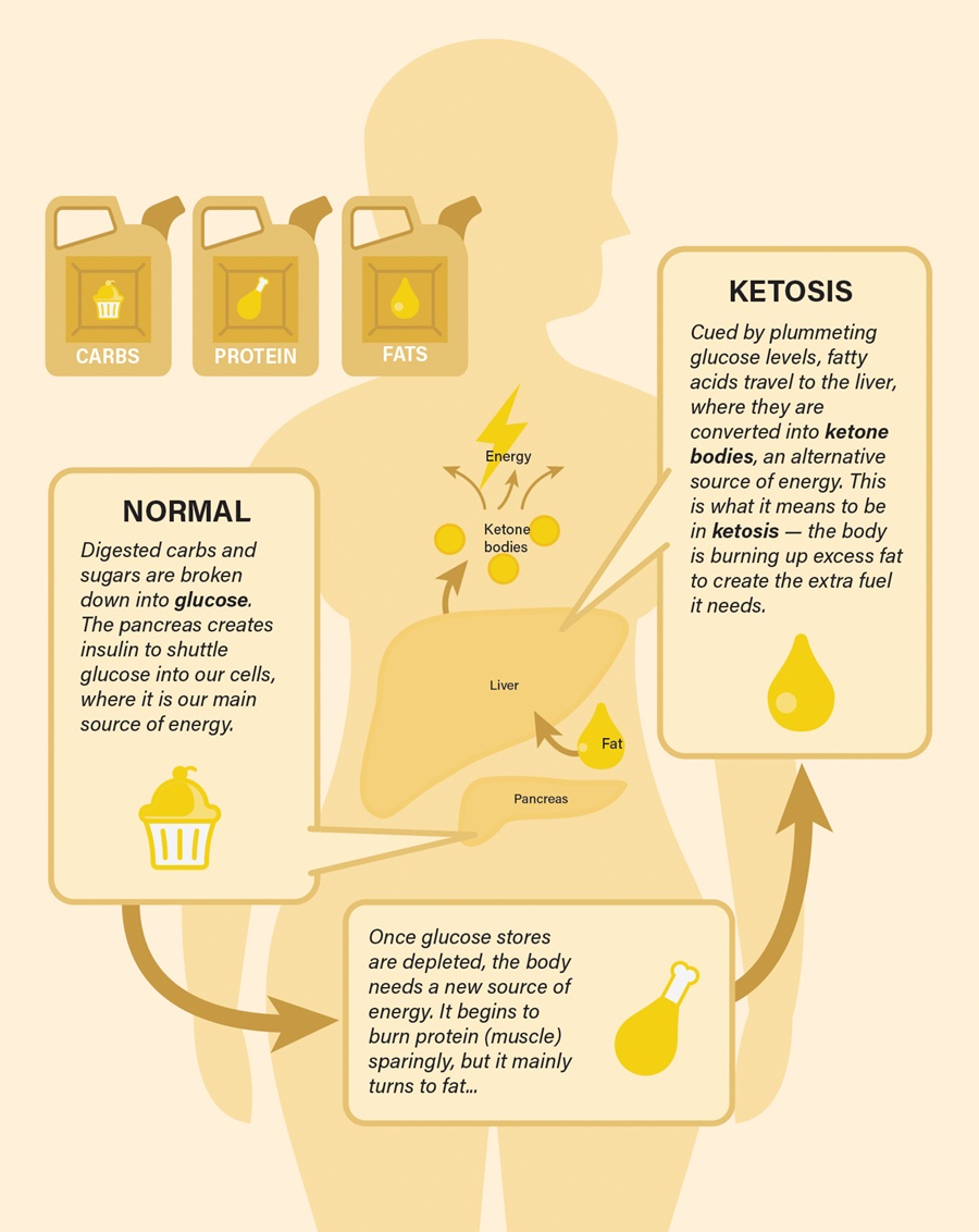 The Science Behind Fasting - Ketosis