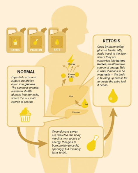 The Science Behind Fasting - Ketosis