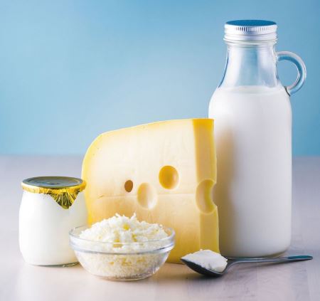 Milk and Dairy Product Health NEJM