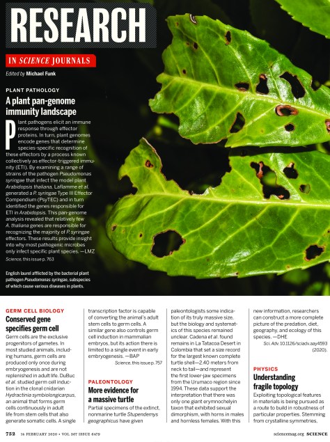 Research Highlights in Science Journal February 13 2020-page-0