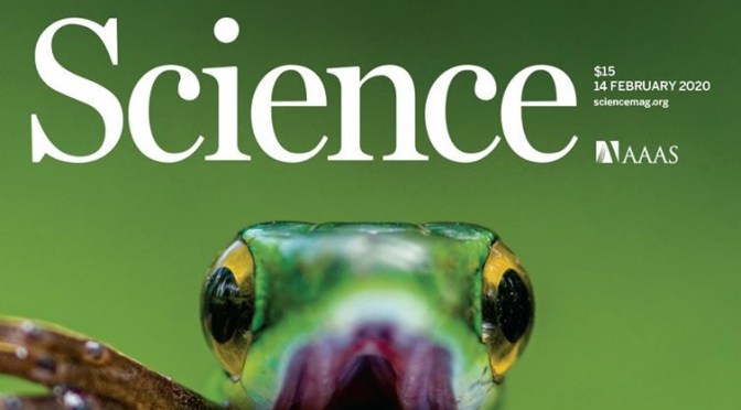 News: Latest Research Highlights In Science Magazine (Feb 14, 2020)