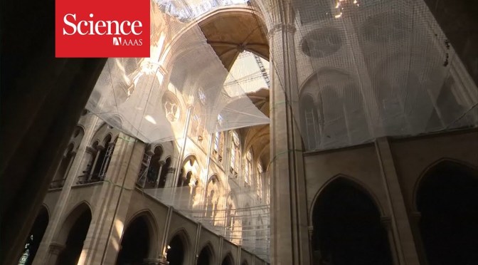 Architecture: A Look At The Restoration Of Notre Dame Cathedral In Paris