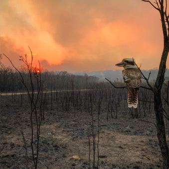 Adam Stevenson Australia National Award Winner 2020 Sony World Photography Awards