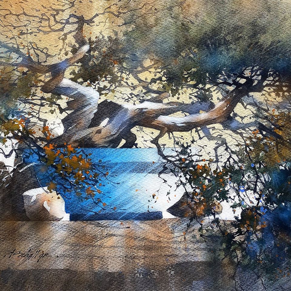 Bonsai - Thomas W. Shaller (March 2020)