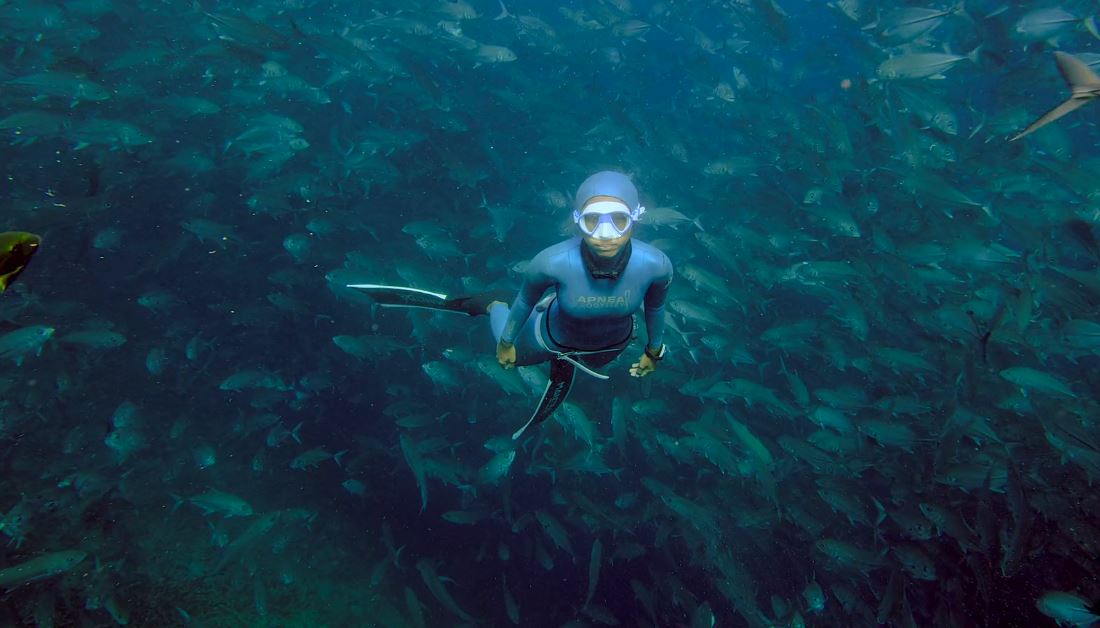 Malaysia Tourism video by Mark Toia 2020