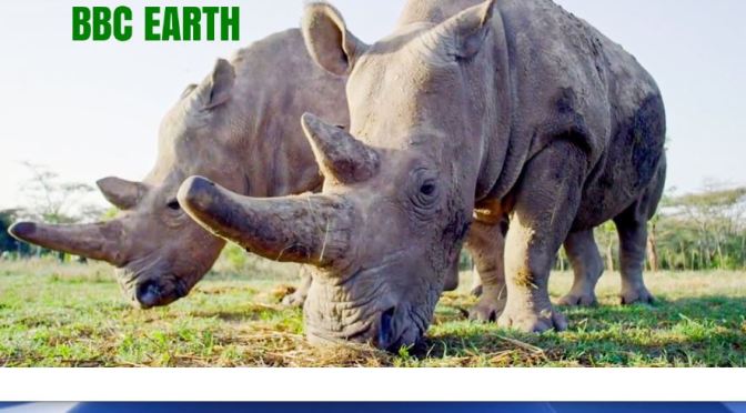 Top New Nature Videos: “Most Inspiring Animal Conservation Stories”
