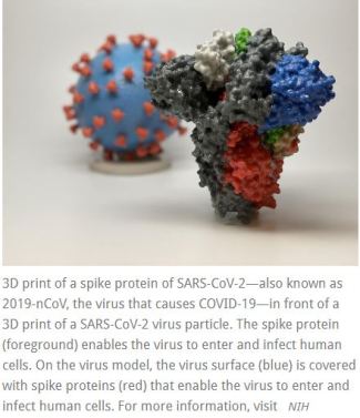 NIH Covid-19 Clinical Trial Vaccine March 17 2020