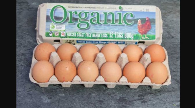 Diet Study: “Moderate Egg Consumption” Does Not Increase Cardiovascular Disease Risk (The BMJ)